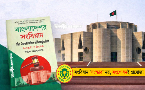 সংবিধান ‘সংস্কার’ নয়, সংশোধনই প্রযোজ্য: সালাউদ্দিন আহমেদ