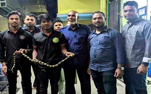 আনোয়ারায় এক্স-রে কক্ষে বিষধর সাপ