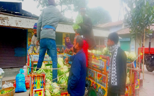 নওগাঁর আত্রাইয়ে শীতকালীন সবজির দামে মিলছে স্বস্তি