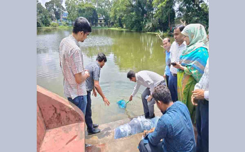 বোয়ালখালীতে ৩২টি পুকুরে মাছের পোনা অবমুক্ত
