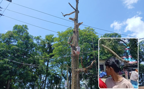 বোয়ালখালীতে রেলওয়ের গাছ কাটতে গিয়ে পথচারী আহত