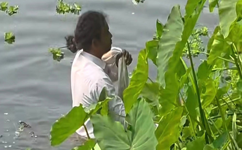 মানিকগঞ্জে বাউলশিল্পীদের উপর হামলা, ধাওয়া দিয়ে ফেললো পুকুরে 