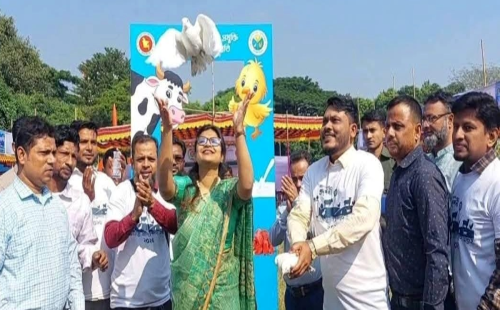 তিতাসে জাতীয় প্রাণিসম্পদ সপ্তাহ উপলক্ষে বর্ণাঢ্য র‍্যালী ও মেলা উদ্বোধন