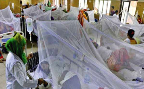 দেশে ডেঙ্গু আক্রান্তে আরও ৩ জনের মৃত্যু 